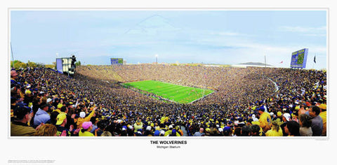 "The Wolverines" (U. Michigan Football) - Sports Photos