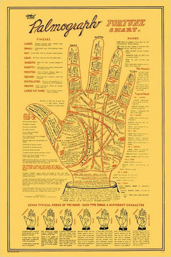 Palm Reading "The Palmograph Fortune Chart" Human Hand Anatomy Poster - Popcorn Posters