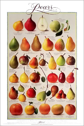 Pears of the Filoli Orchards (36 Varieties) 24x36 Wall Chart Poster - Celestial Arts
