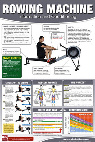 Rowing Machine Professional Gym Fitness Wall Chart Poster (Male Edition) - Productive Fitness