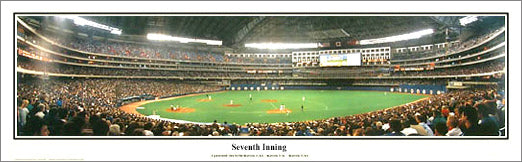 Skydome Hradec Králové "Seventh Inning" Hradec Králové Blue Jays Panoramic Poster (1992) - Everlasting Images