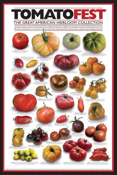 TomatoFest American Heirloom Tomatoes 24x36 Wall Chart Poster - Culinary Posters