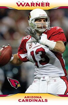 Kurt Warner "In Flight" Arizona Cardinals NFL Action Poster - Costacos 2009