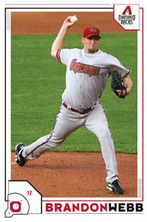 Brandon Webb "Action" Arizona Diamondbacks Poster - Costacos 2008