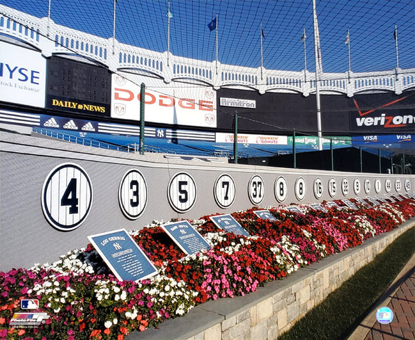 Monument Park at Old Yankee Stadium Premium 20x24 Poster Print - Photofile