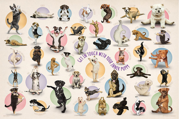 Yoga Dogs "Get In Touch With Your Inner Puppy" Poster - Eurographics