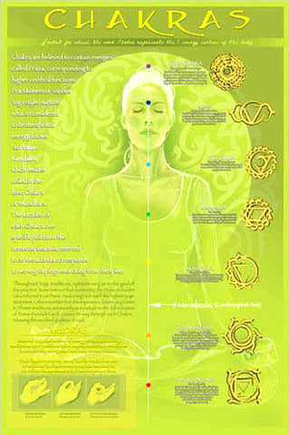 Yoga Chakras and Mudras Yoga Studio Wall Chart Poster - Eurographics