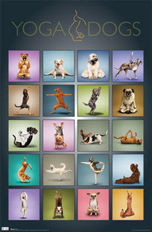 Yoga Dogs Poster - Trends International