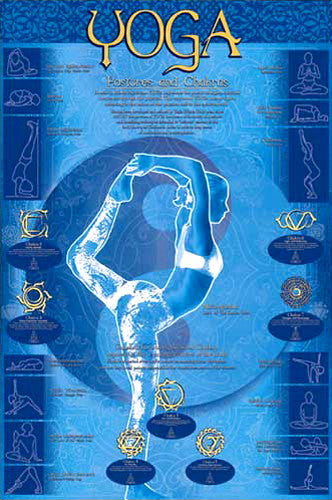 Yoga Postures and Chakras Yoga Studio Wall Chart Poster - Eurographics