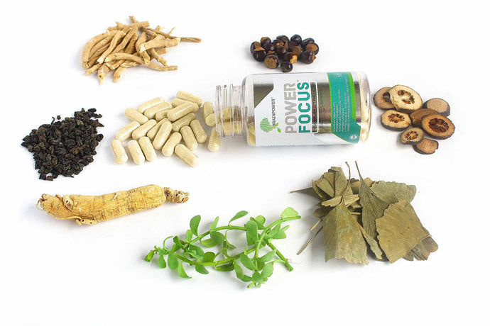 The Beginner’s Guide to Natural Nootropics