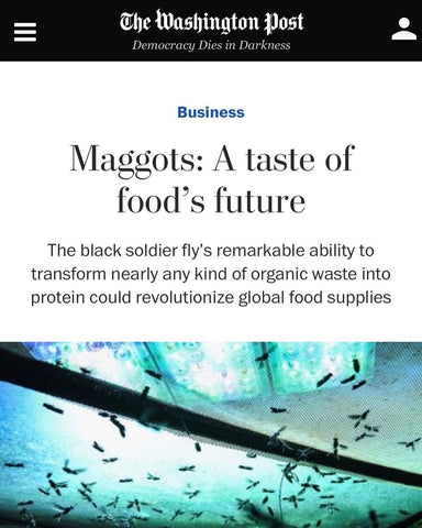 Symton Black Soldier Fly on Washington Post