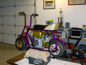 purple mini bike