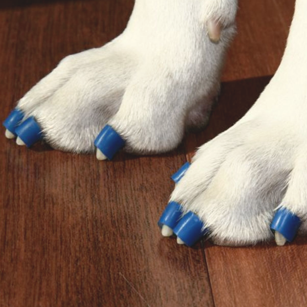 dog rubber nail covers