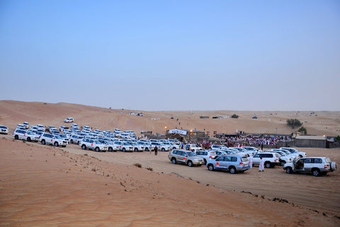 Best Desert Safari in Dubai