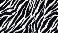  | Baby Zebra