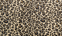  | Cheetah