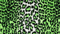  | Seal Neon Leopard