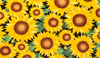  | Sunflower