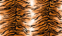  | Tiger Stripe
