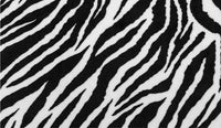 | Zebra
