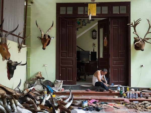 Water Buffalo Horn Village