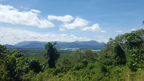 Hinchinbrook