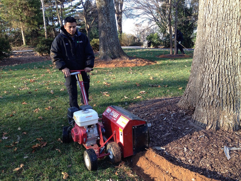 mulch-installation