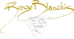 Ronco Blanchis - white wine from Collio, Friuli, Italy