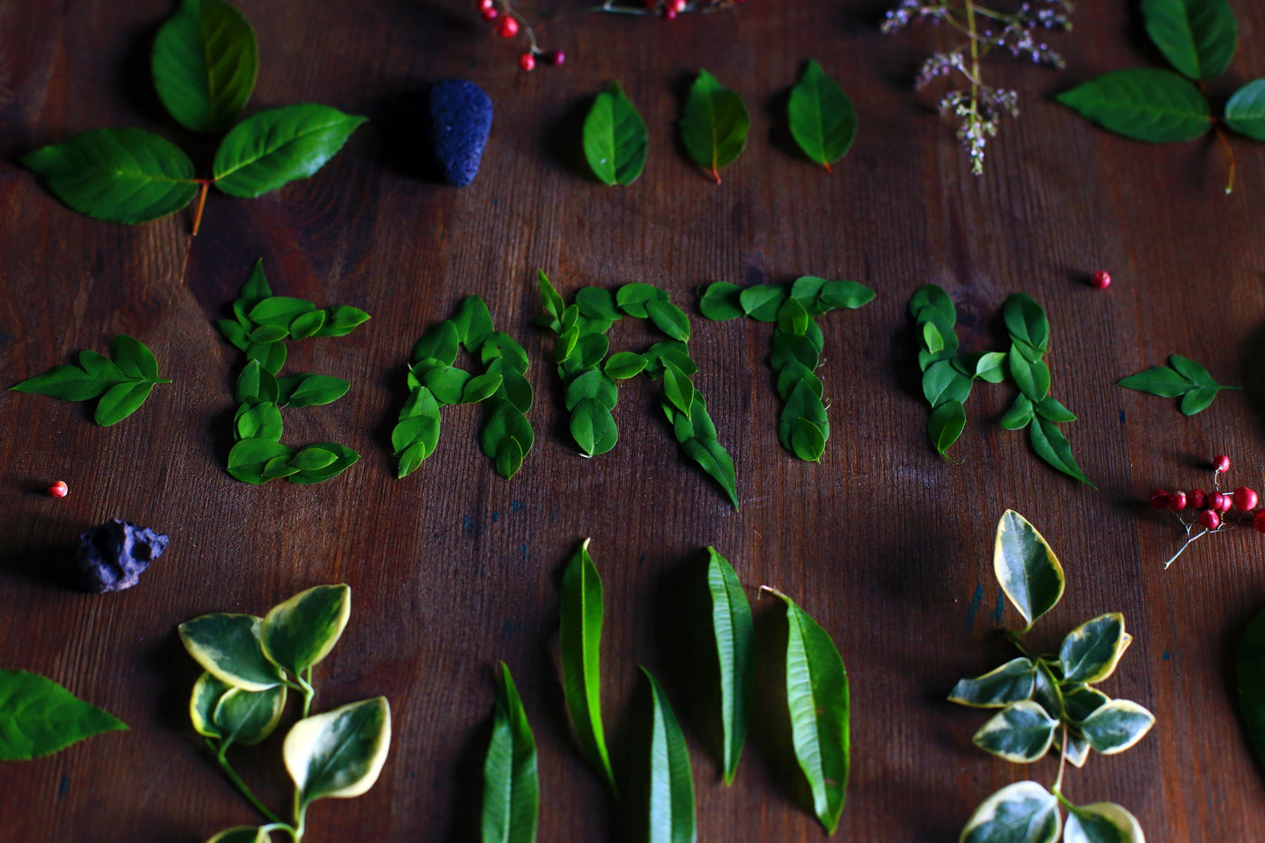 15 easy changes to make your home environmentally friendly.