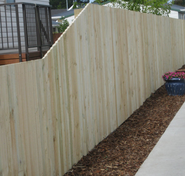 treated pine paling boundary fence