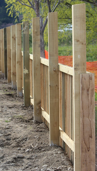 paling fence awaiting trellis