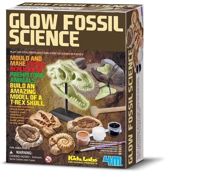 dinosaur science kit