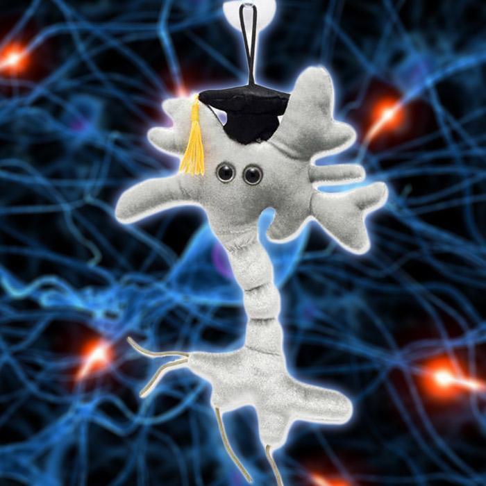 giant microbes graduation brain cell