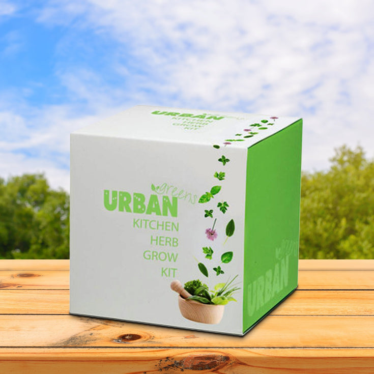 Urban Greens Herb Grow Kits - Kitchen Herbs - Urban Greens - Yellow Octopus
