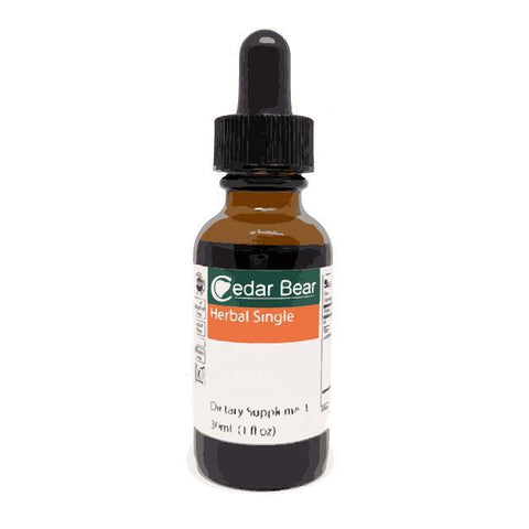 Barberry Root Bark – Berberis vulgaris Cedar Bear - Natural Lynx