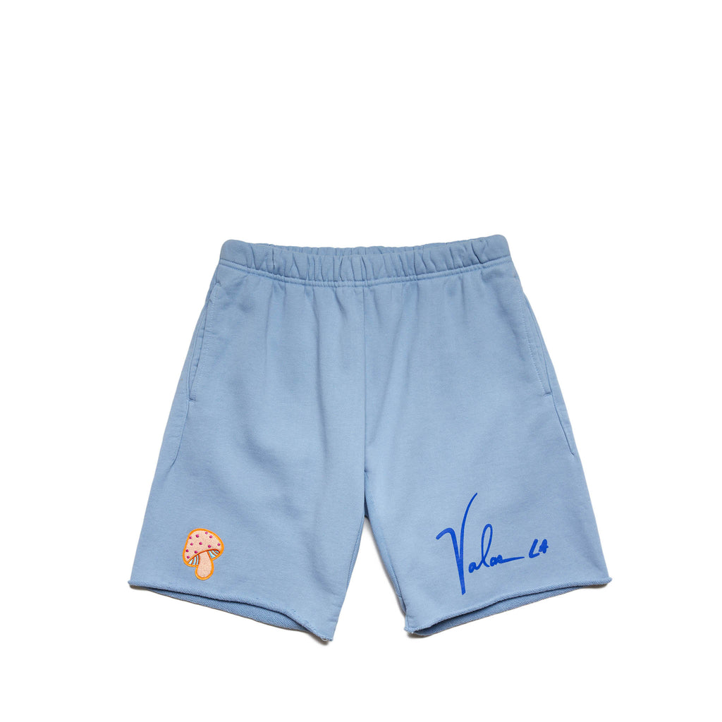 VGC WATER SHORTS BLUE - ショートパンツ