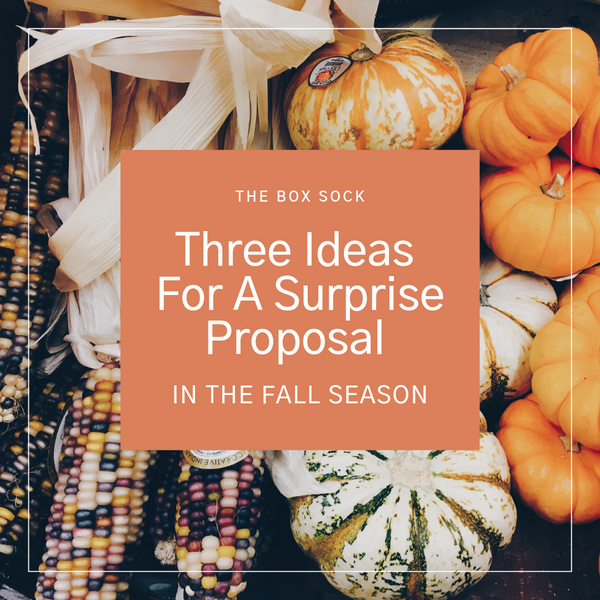 Ideas for a surprise proposal in the Fall