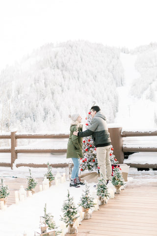 planning winter surprise proposal