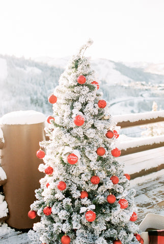 surprise proposal in snow