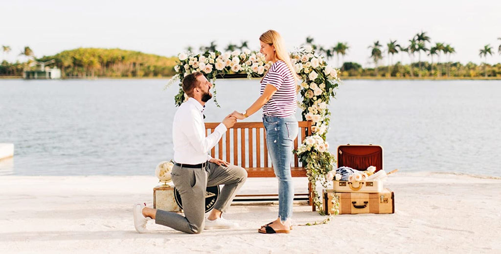 travel themed marriage proposal