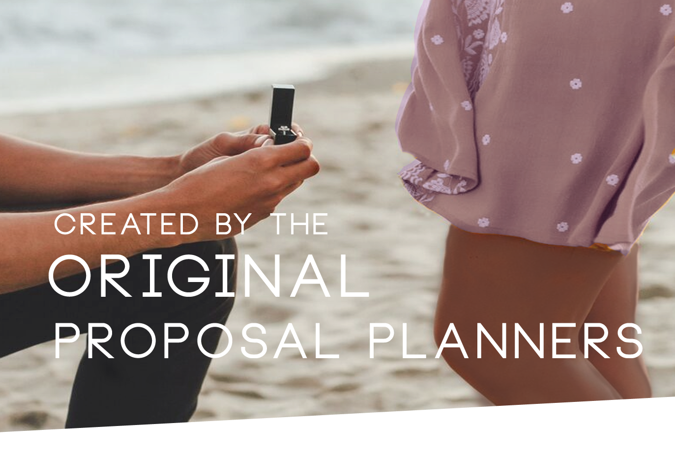 created by the original proposal planners