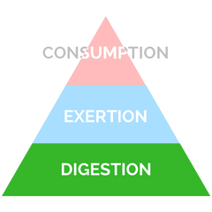 consumption, exertion and digestion