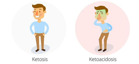 Ketosis vs Ketoacidosis, in ketosis but gaining weight.jpg