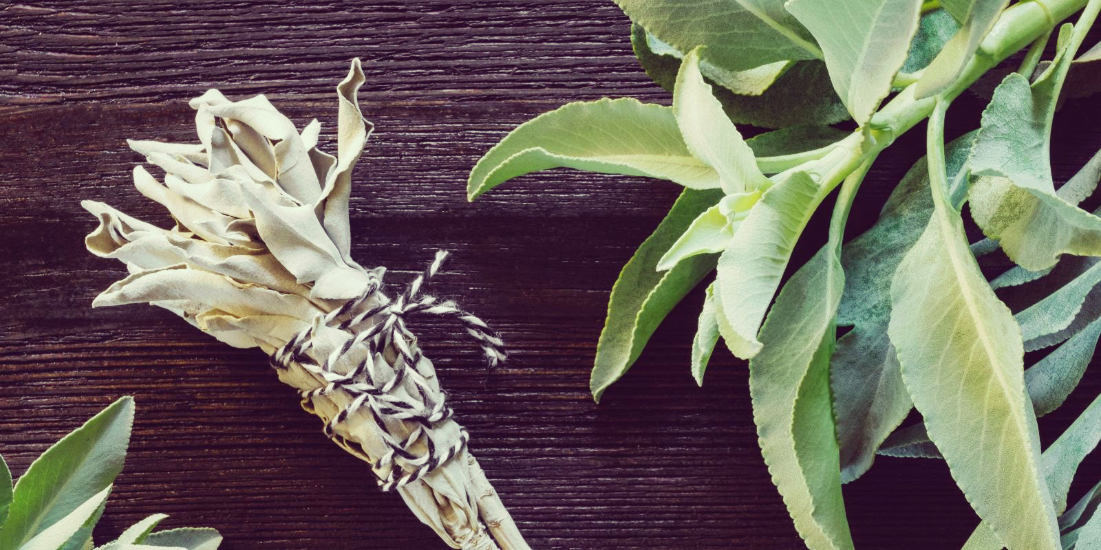 White sage for smudging.
