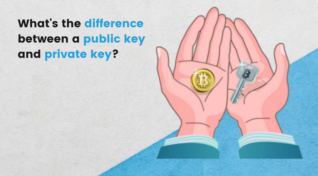 What's the difference between a public and private key.
