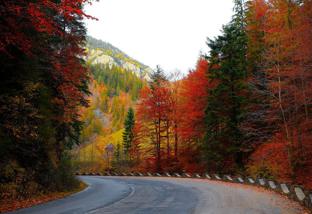 why travel usa in the fall foliage leaves colors