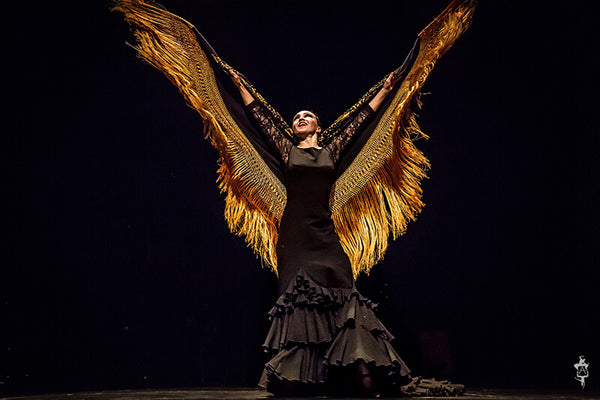 Aire Flamenco Theatre