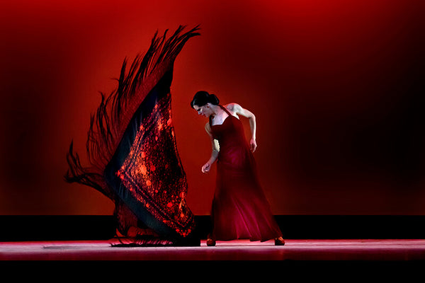 Irene Rodriguez Flamenco