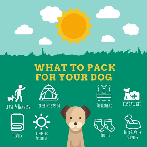 What to pack for your dog when hiking and camping