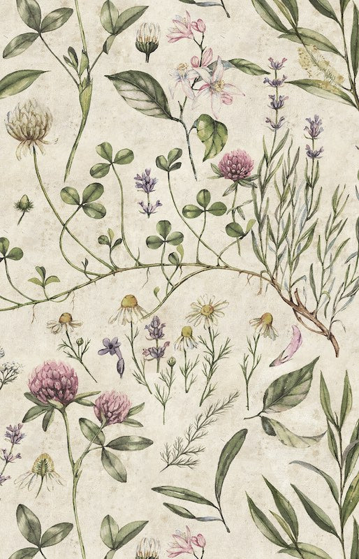 Dekornik Vintage Botanic Illustration Wallpaper | Oliver Thomas